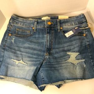 Women shorts